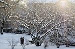 Winterspaziergang