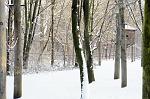 Winterspaziergang
