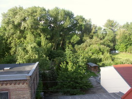 Bild vom 11.06.