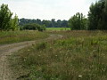 Weg