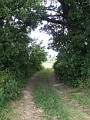 Weg